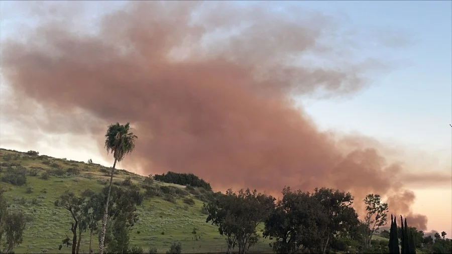 Пожар в Санти: эвакуация магазинов и работа спасателей