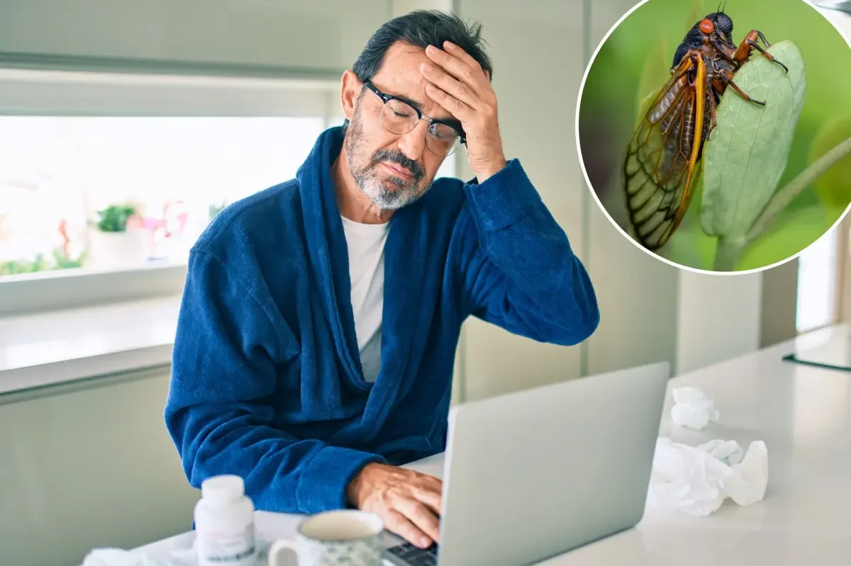 Новый вариант «Цикада»: что известно о возвращении COVID-19