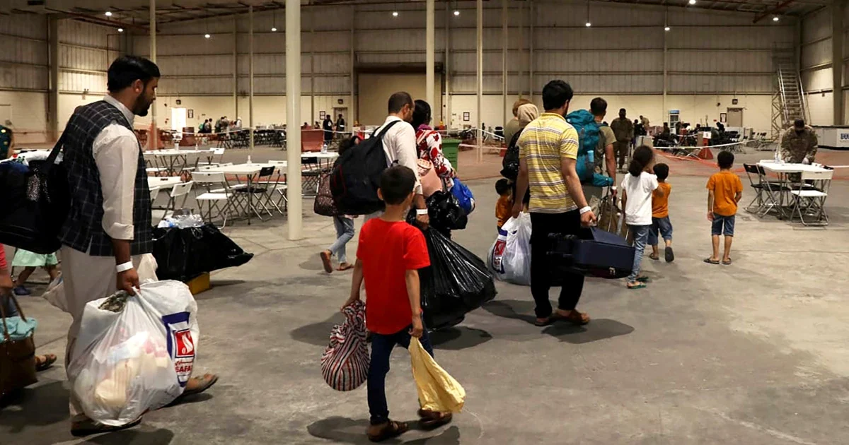 Афганцы, помогавшие США, опасаются, что Трамп отправит их обратно к талибам