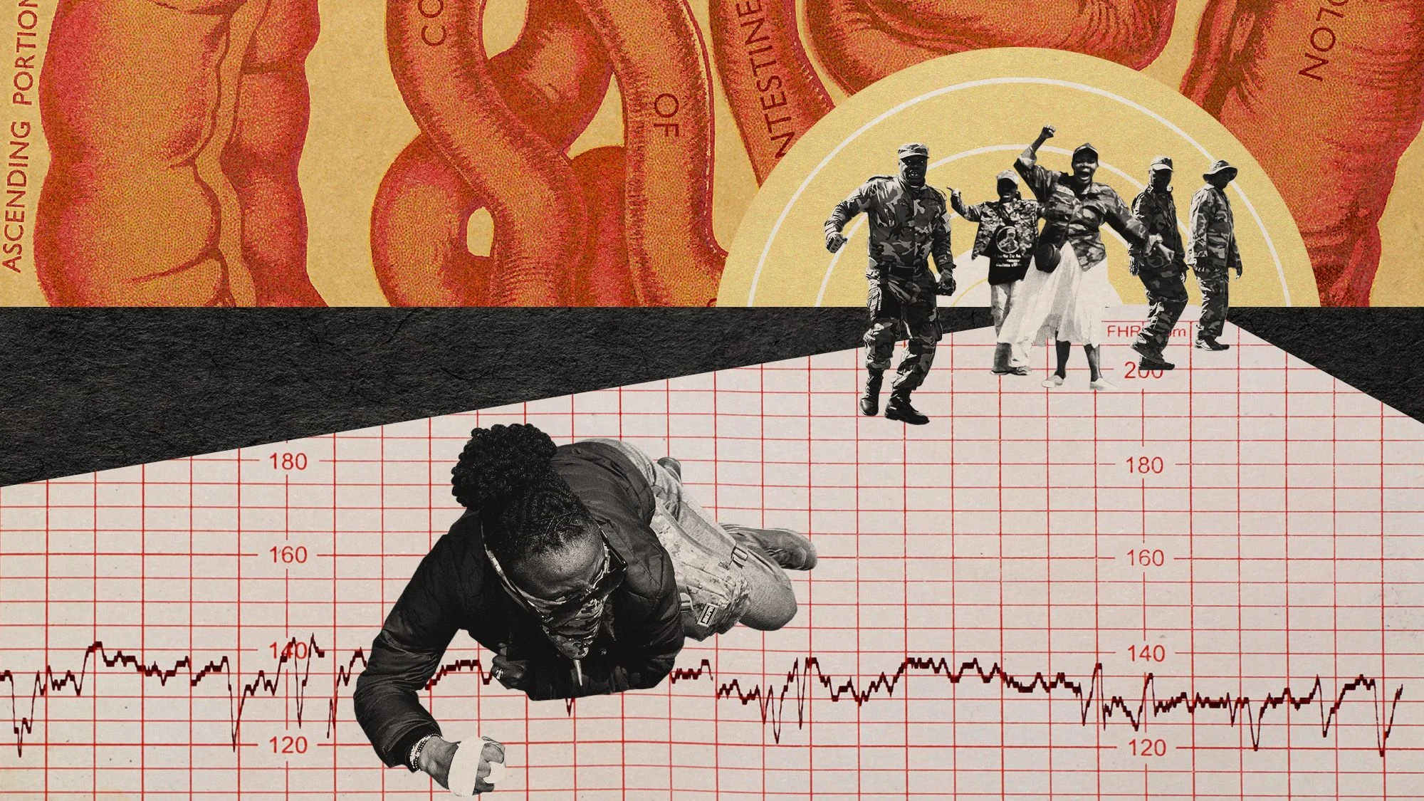 Операция «Дудула»: судебные тяжбы вокруг антимигрантского движения в ЮАР