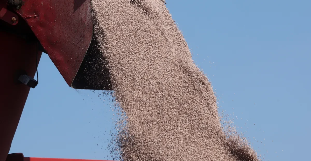 Кризис в Ормузском проливе угрожает глобальной продовольственной безопасности