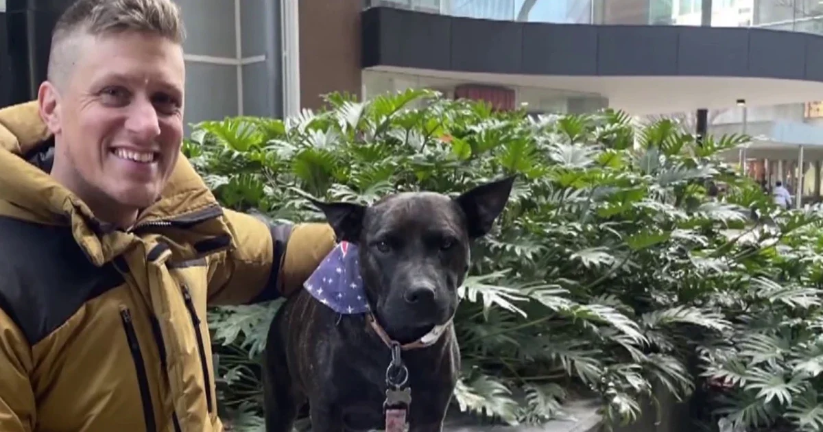 Австралийский предприниматель разработал лечение рака для собаки с помощью ИИ