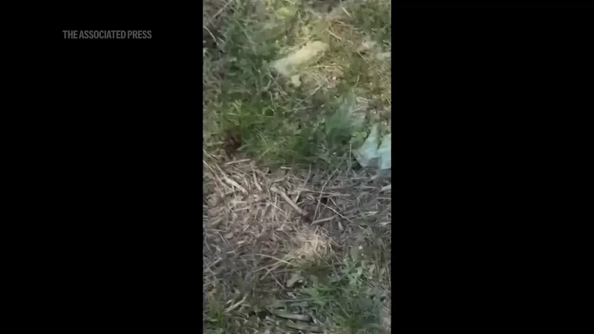 Атака на крупнейший мост Ирана: что известно о трагедии на объекте B1