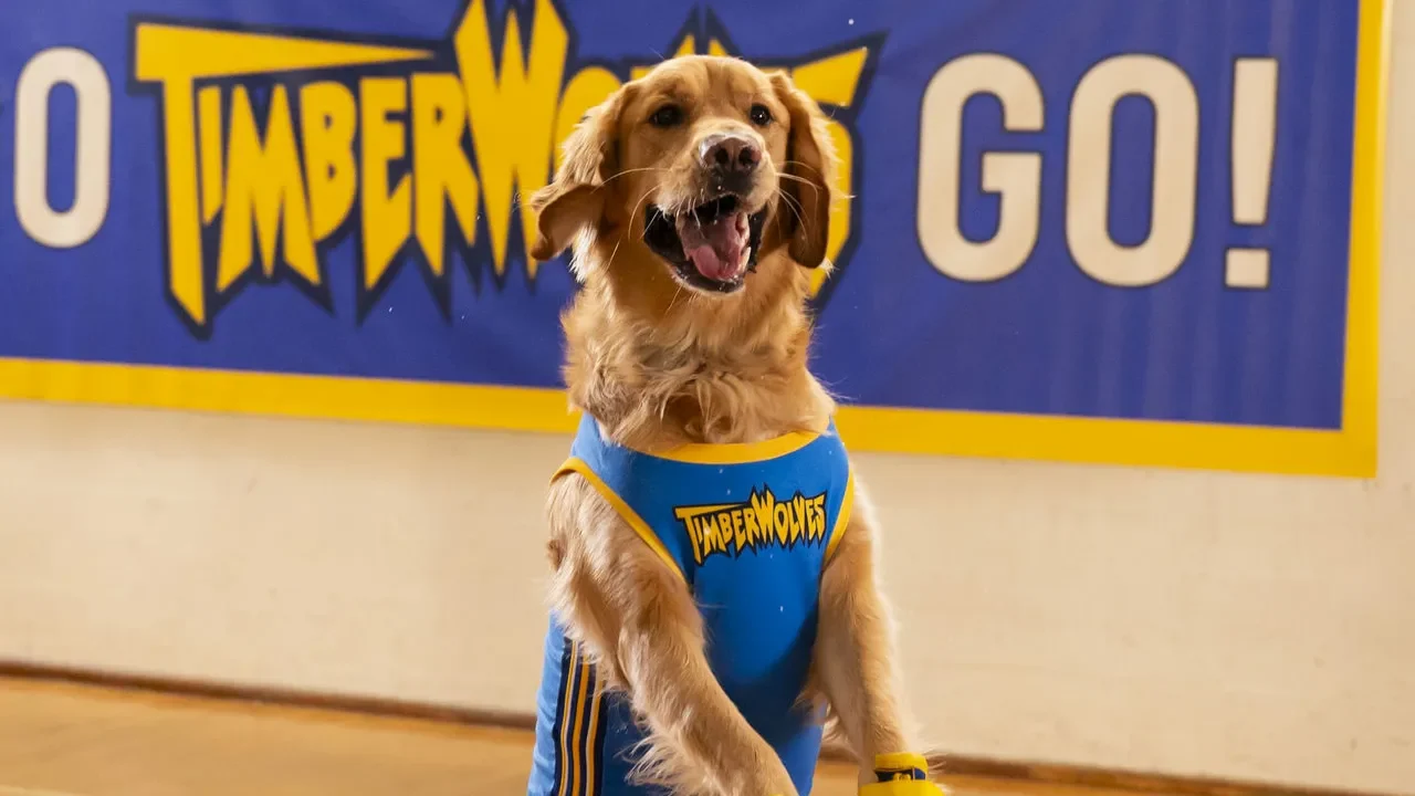 Air Bud Returns: Каноническая смерть Бадди и перезапуск франшизы
