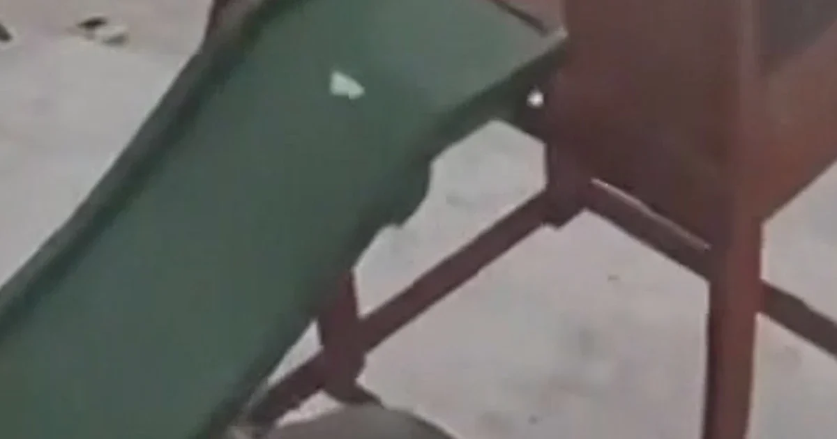 Смерч ворвался на задний двор дома во Флориде: видео очевидца