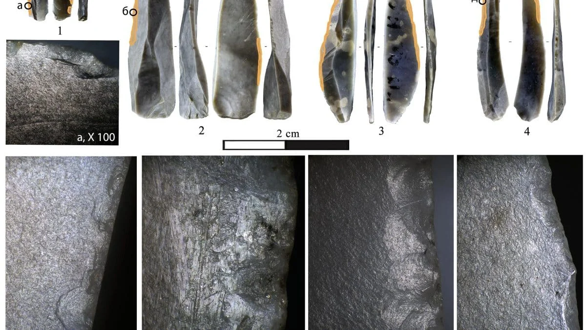 Каменные резцы из Костенок оказались не инструментами, а заготовками для микропластинок
