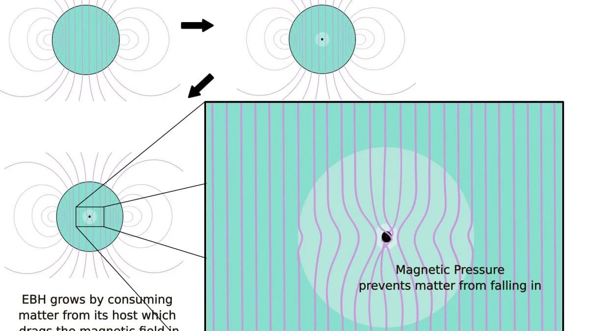 Магнитные поля спасают звёзды от чёрных дыр в сердце Галактики