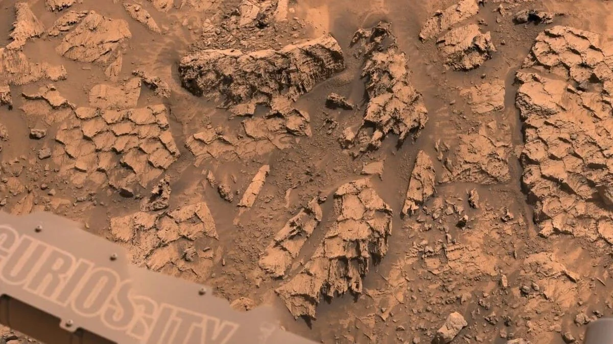 Curiosity снял на Марсе скалу, похожую на чешую гигантской рептилии