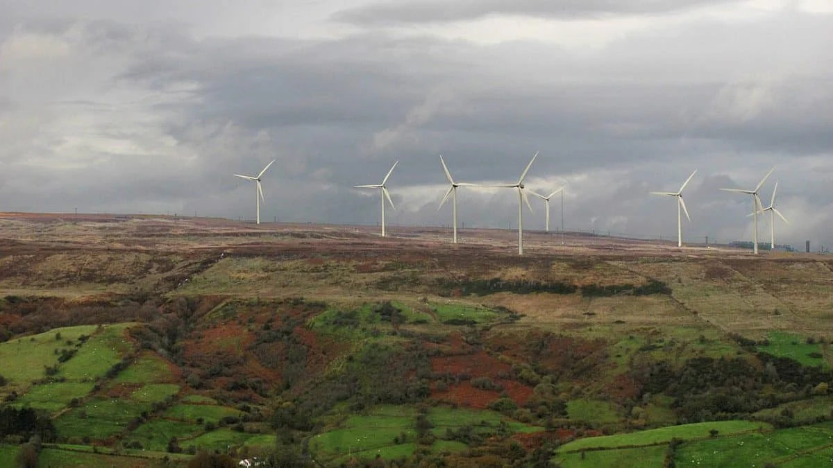 Ветер стал главным источником электричества в Ирландии второй месяц подряд