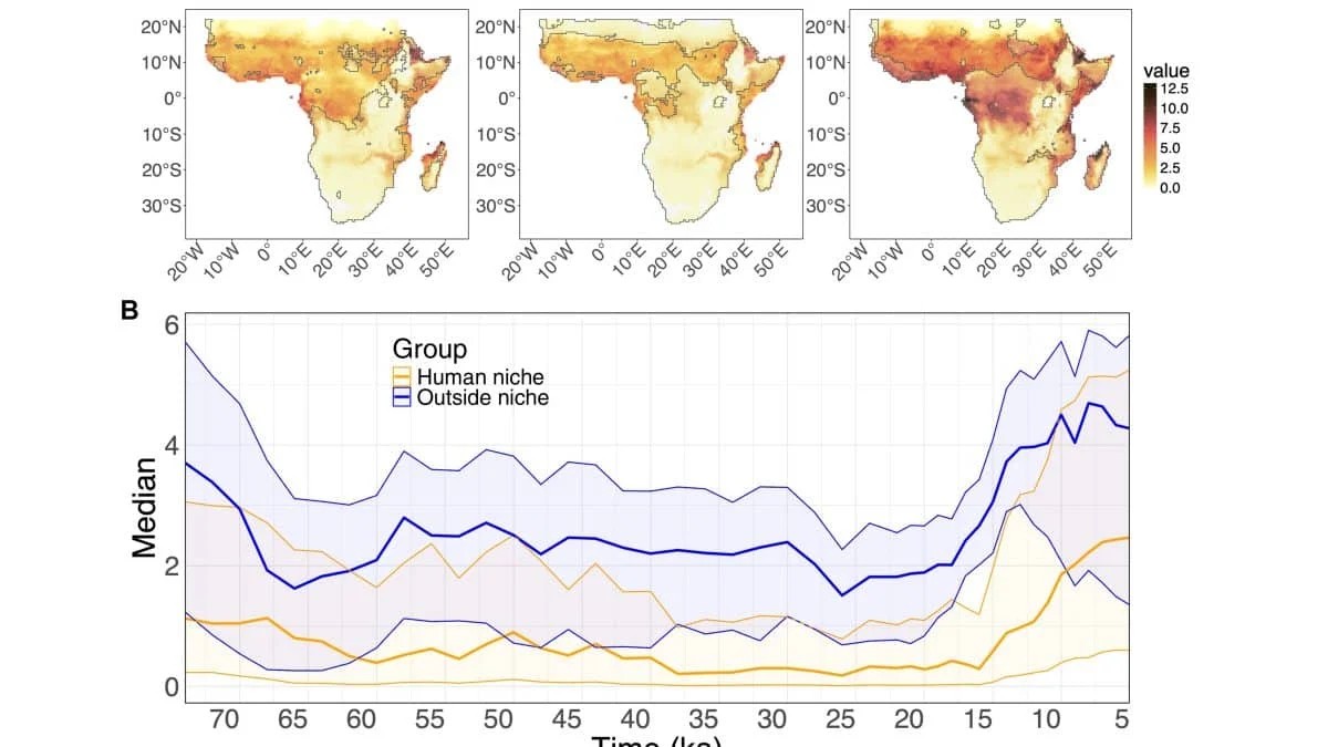 Малярийные комары направляли расселение древних людей по Африке