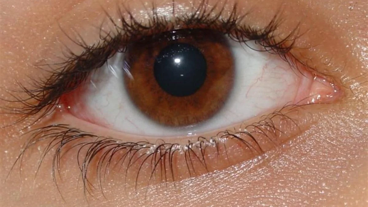 Дача и глаза: офтальмолог назвала главные опасности для зрения в сезон работ