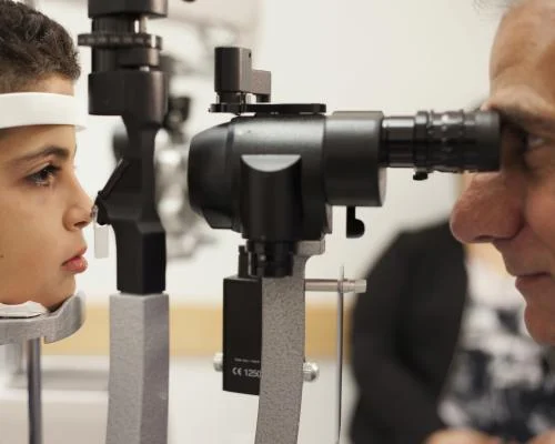 «Оскар науки» за генную терапию слепоты: как супруги-учёные вернули зрение