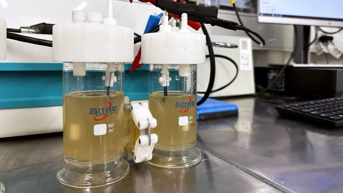 Семь прорывов, превращающих отходы в чистую энергию: наука в действии