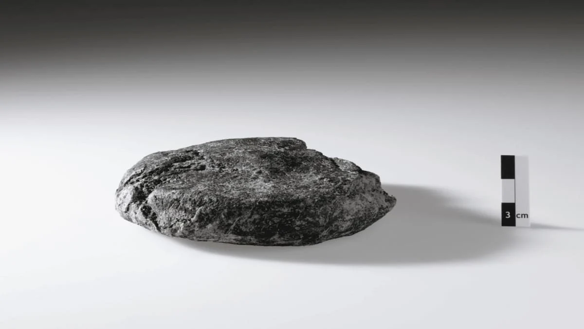 В Швейцарии нашли 2000-летний римский хлеб: первая подобная находка в стране