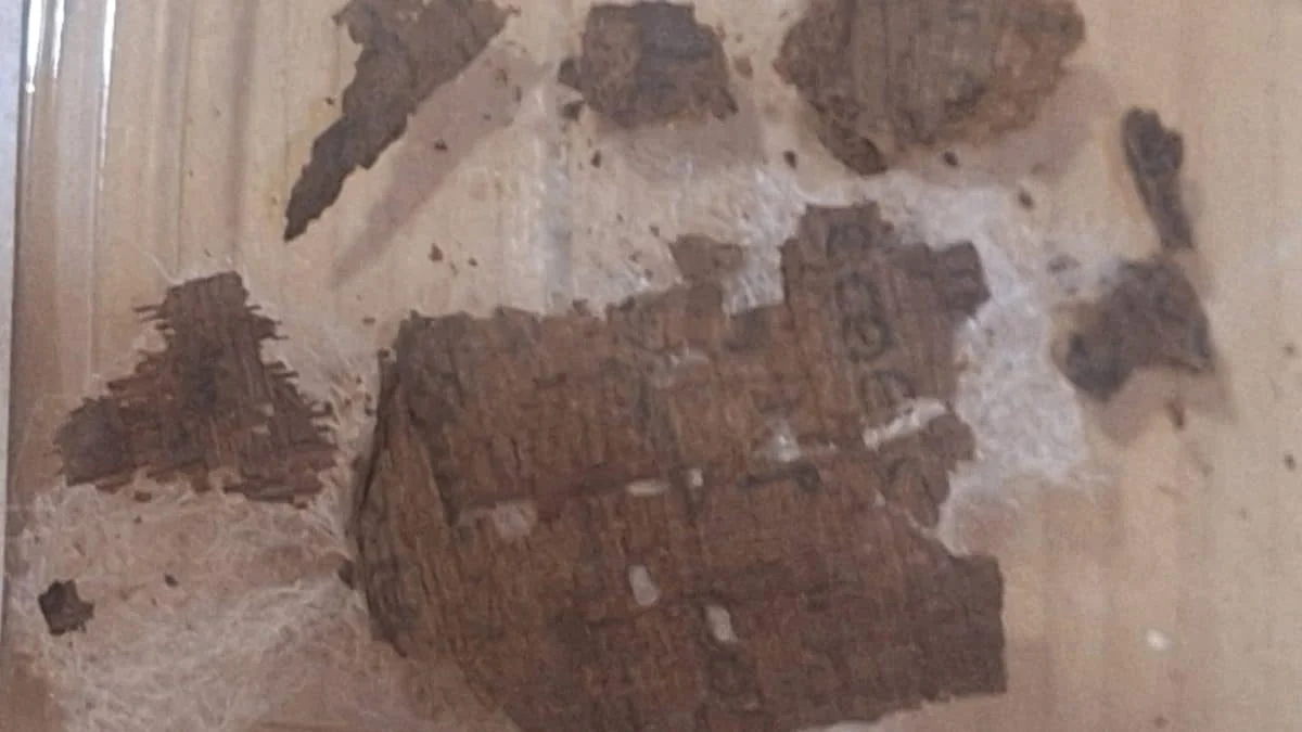 В мумии из Оксиринха обнаружен фрагмент «Илиады»: уникальная находка археологов