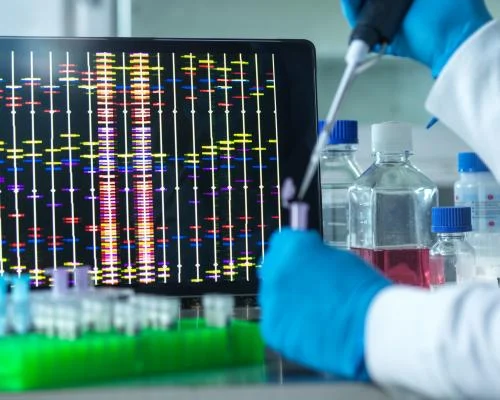 Генетический тест может определить отцовство среди однояйцевых близнецов