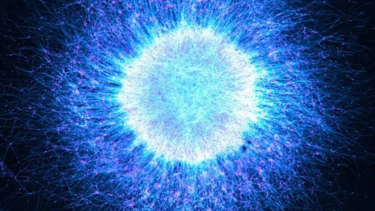 Микроскопия как искусство: Evident Scientific назвала лучшие научные снимки года