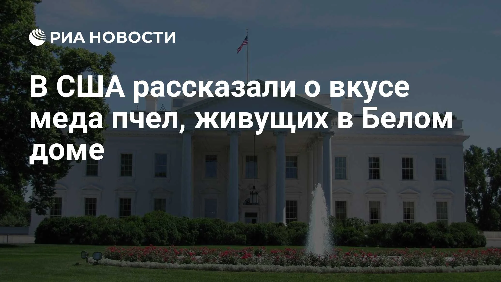 Эксперт: мед с улья в Белом доме будет сложным и слегка цветочным